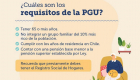 Requisitos PGU